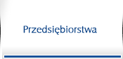 Przedsiębiorstwa